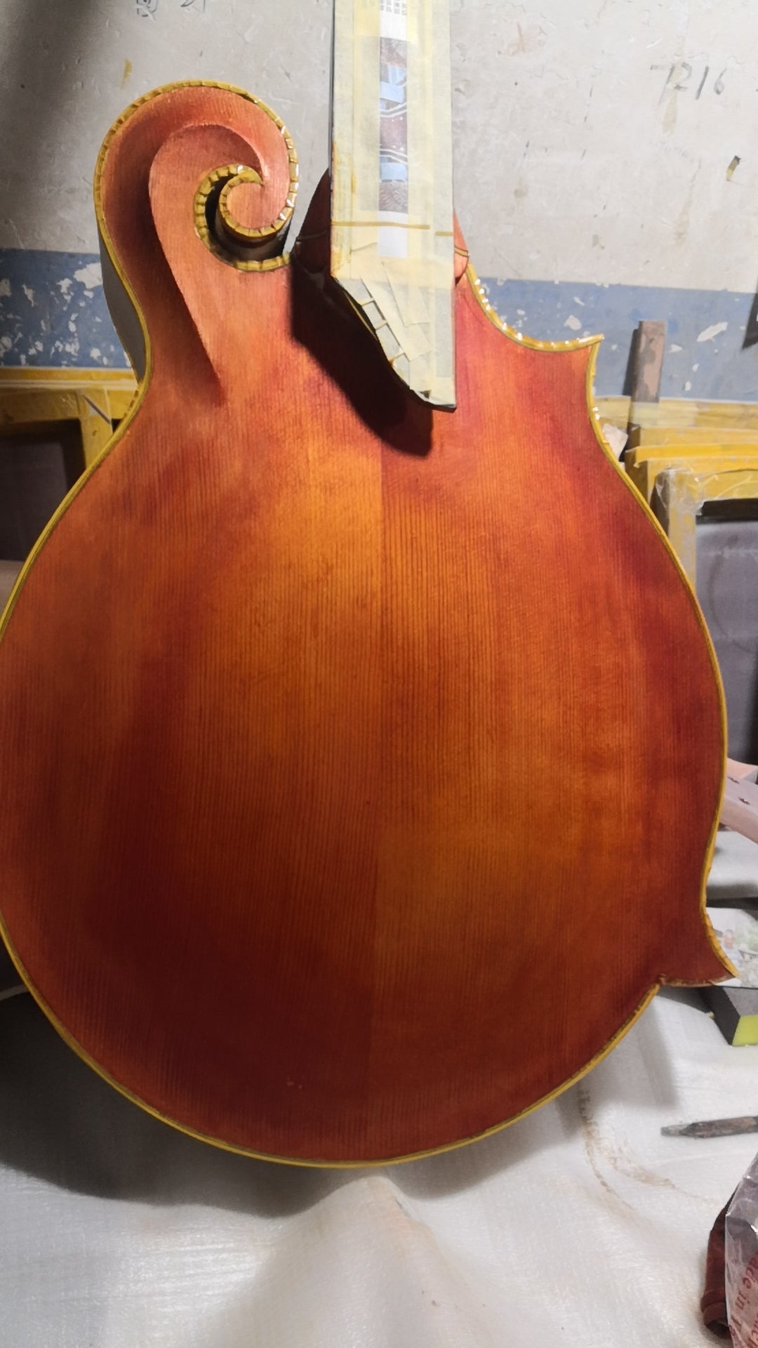 From Wood to Form: Selected Photos of a Mandocello Taking Shape