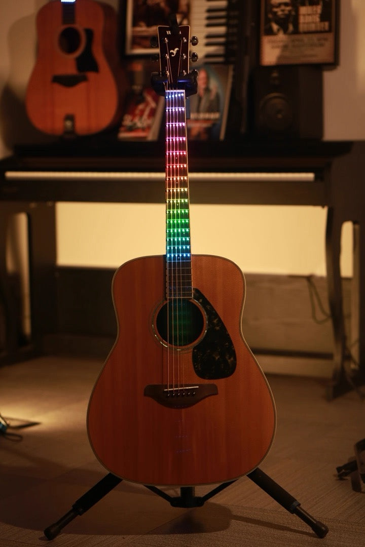 25.5" or 24.75" Scale (648mm / 628mm) Guitar Fingerboard Light (SCT-86)