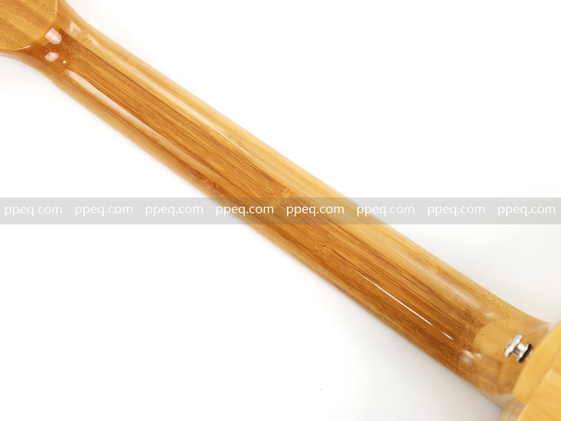38-inch Full Solid Bamboo Tonewood Acoustic Guitar (JY-B400)