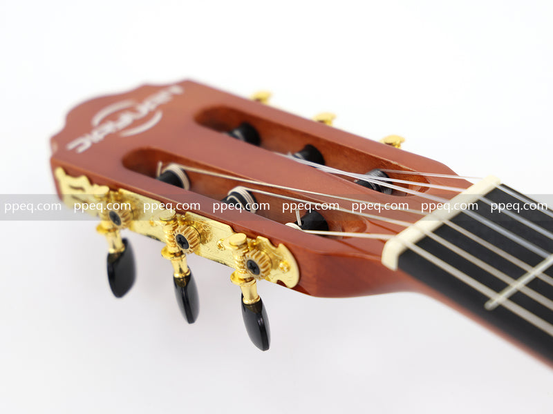 39-Inch Cutaway Glossy Finish Classical Guitar (JY-390)