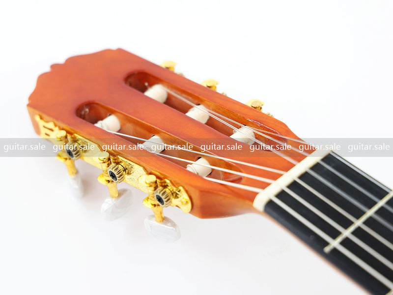 39 Inch 4/4 Full Size Standard Cutaway Classical Guitar with Blue Gold Flake Gloss Finish (PMG-019)