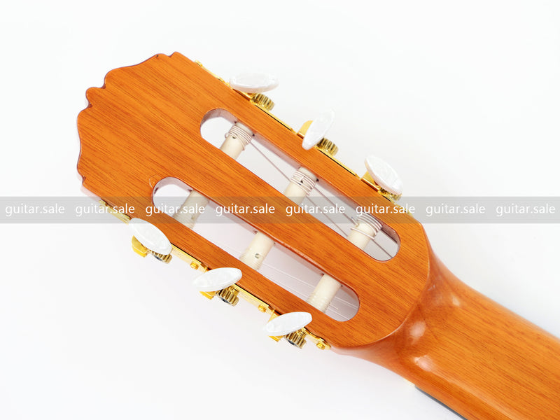 39 Inch 4/4 Full Size Standard Cutaway Classical Guitar with Blue Gold Flake Gloss Finish (PMG-019)