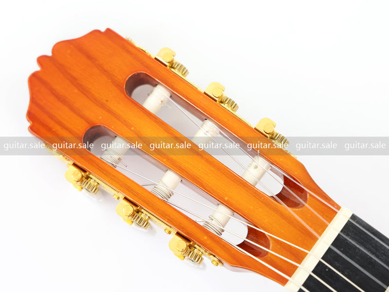 39 Inch 4/4 Full Size Standard Non-Cutaway Classical Guitar with Yellow Gold Flake Gloss Finish (PMG-021)