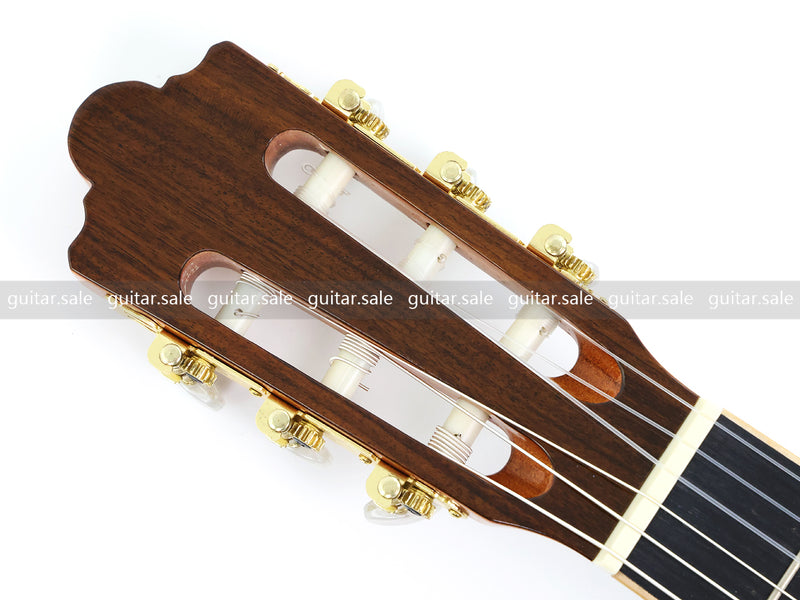 39 Inch 4/4 Full Size Standard Non-Cutaway Walnut Back & Sides Classical Guitar (TY-020)