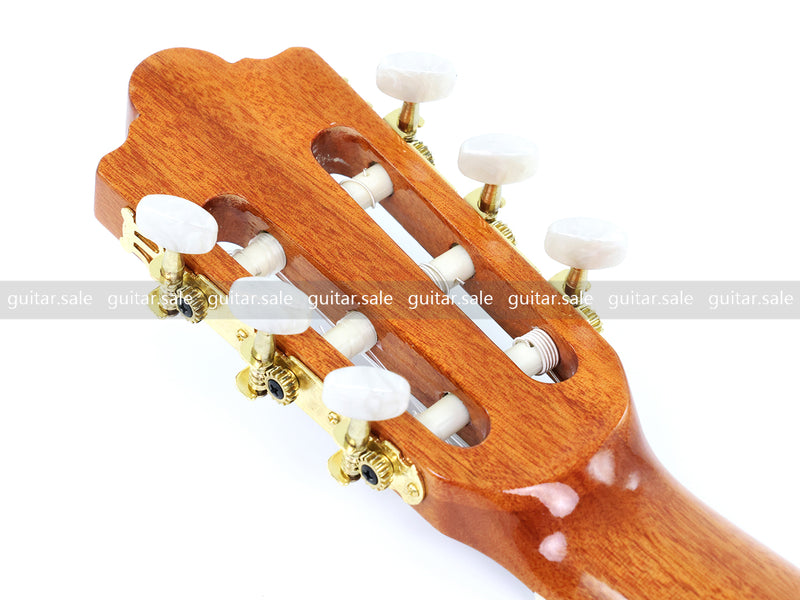 39 Inch 4/4 Full Size Standard Non-Cutaway Walnut Back & Sides Classical Guitar (TY-020)