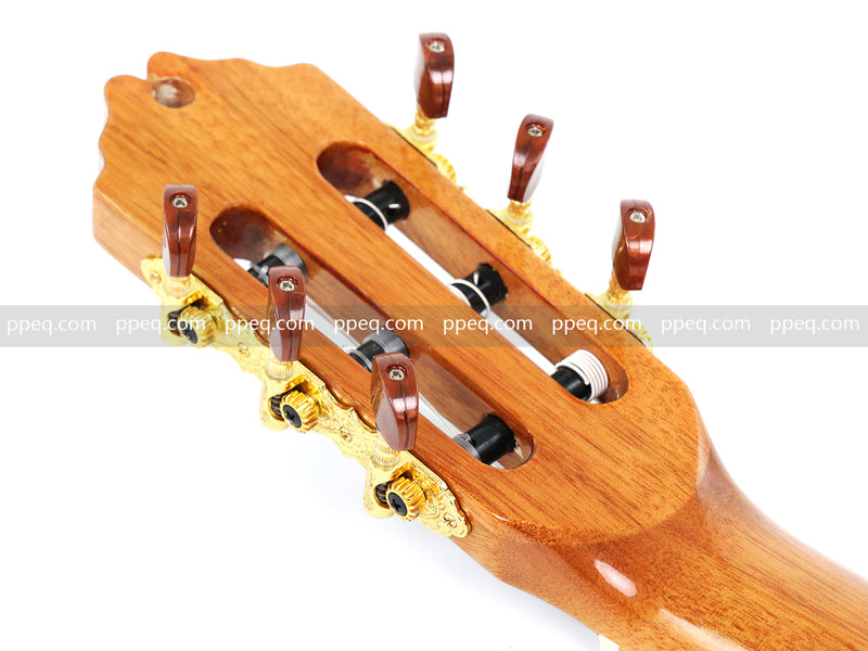 39 Inch 4/4 Full Size Standard Non-Cutaway Walnut Body Classical Guitar (TY-017)