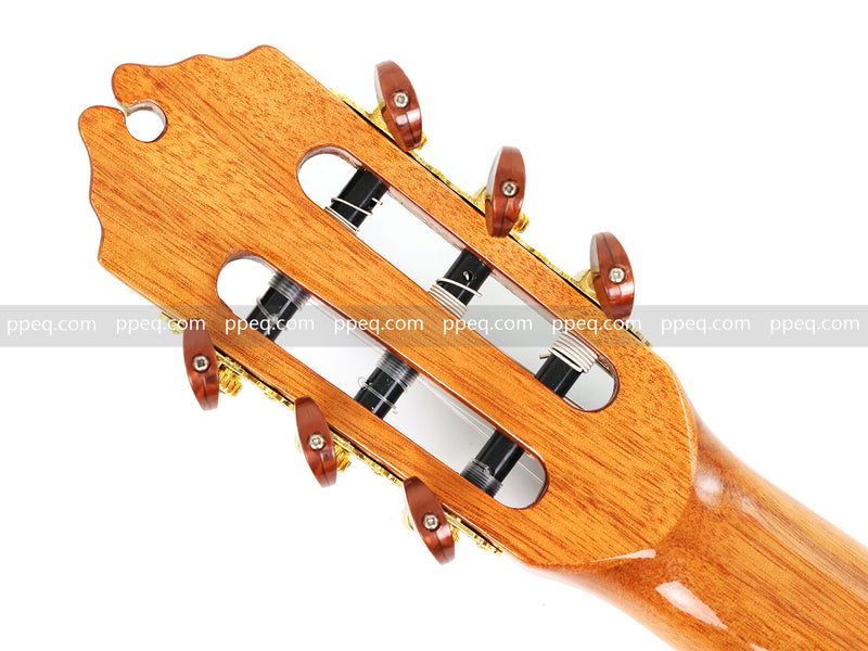 39 Inch 4/4 Full Size Standard Non-Cutaway Walnut Body Classical Guitar (TY-017)