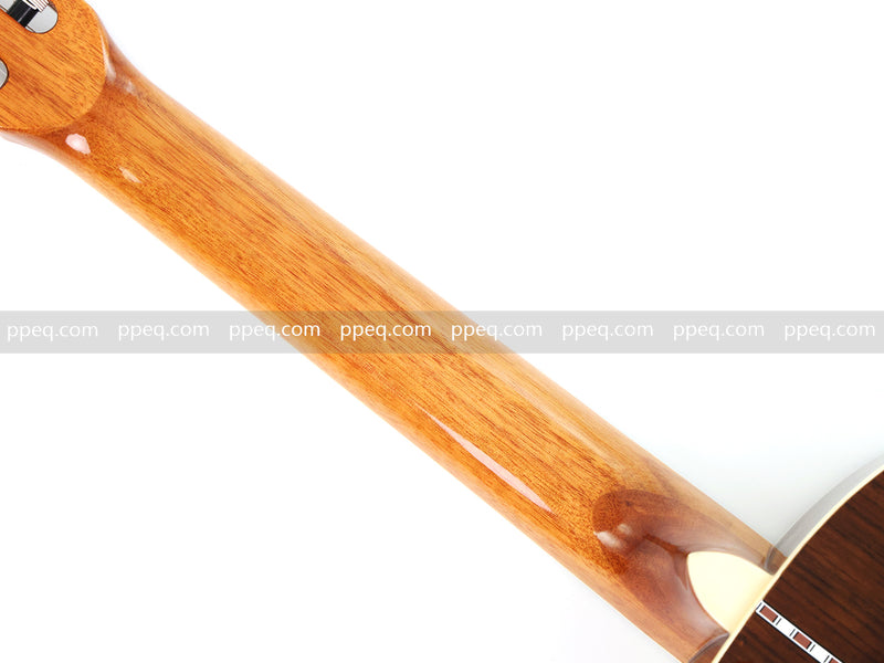 39 Inch 4/4 Full Size Standard Non-Cutaway Walnut Body Classical Guitar (TY-017)