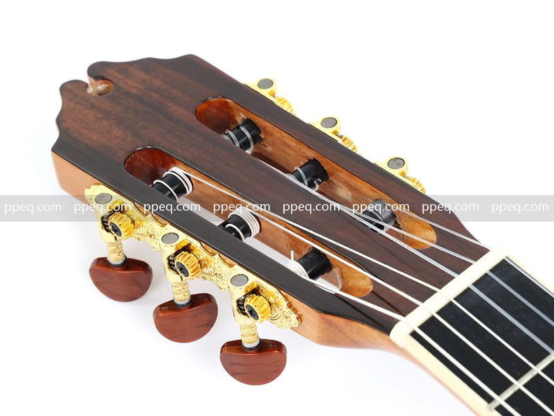 39 Inch 4/4 Full Size Standard Non-Cutaway Walnut Body Classical Guitar (TY-017)