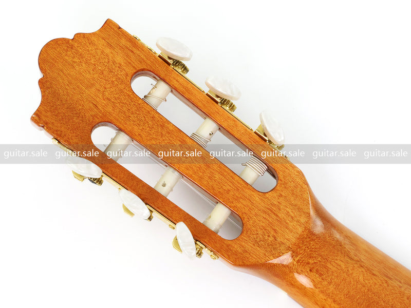 39 Inch Full Size Standard Cutaway Solid Spruce Top Classical Guitar (TY-041)