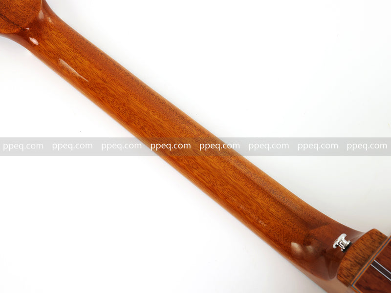 41-inch Padauk Back & Sides Acoustic Guitar with Gloss Finish (TY-012)