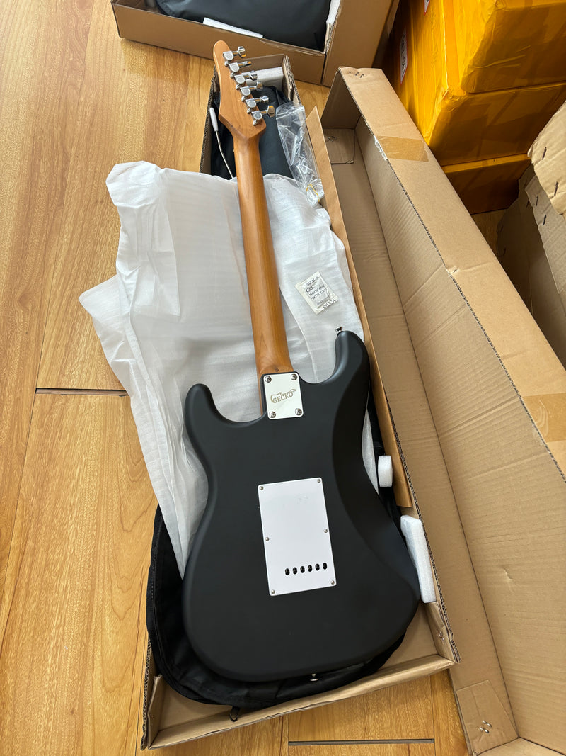 6-String ST-Style PC Body Electric Guitar with Matte Mesmerizing Loong Finish (XST-305)