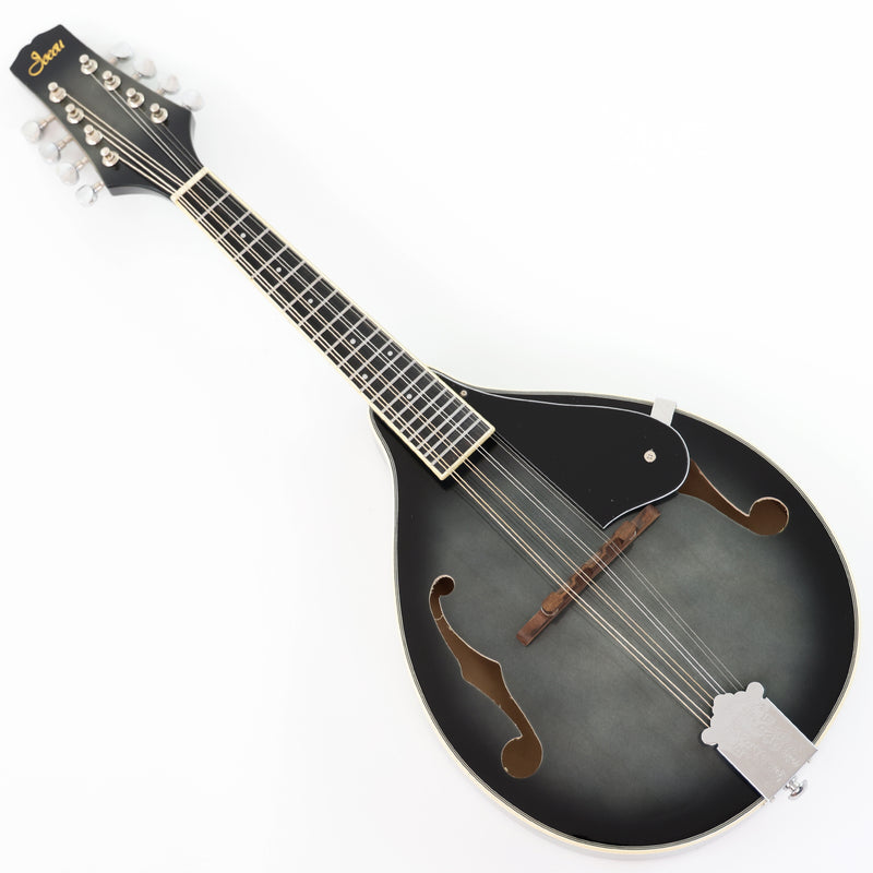Dark Gray Finish A-Style Mandolin (M-8BK)