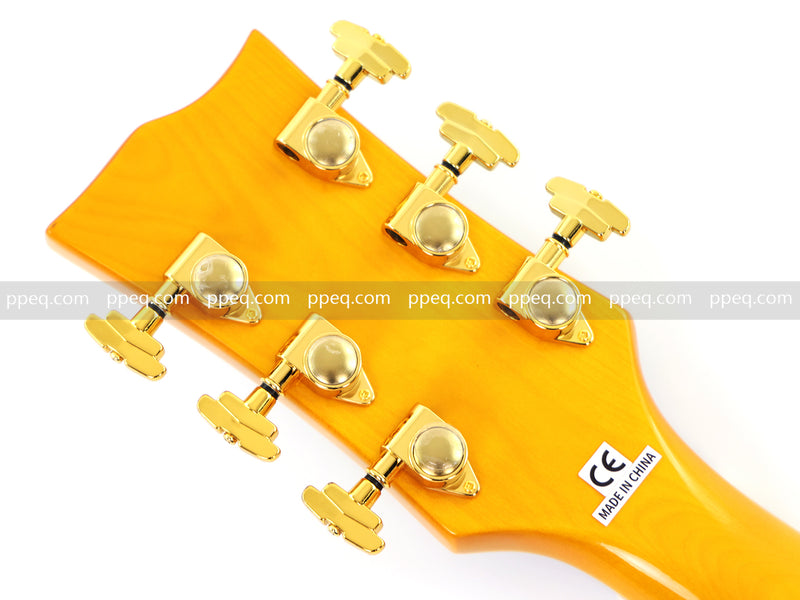 ES-Style Semi-Hollow Body Jazz Electric Guitar with Flamed Maple Veneer (HY-2549)