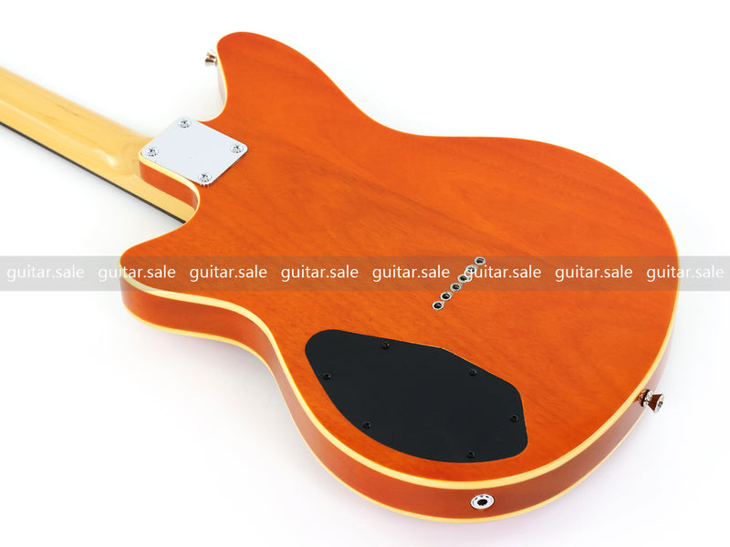 Ibanez Electric Guitar on Sale (IB-01)