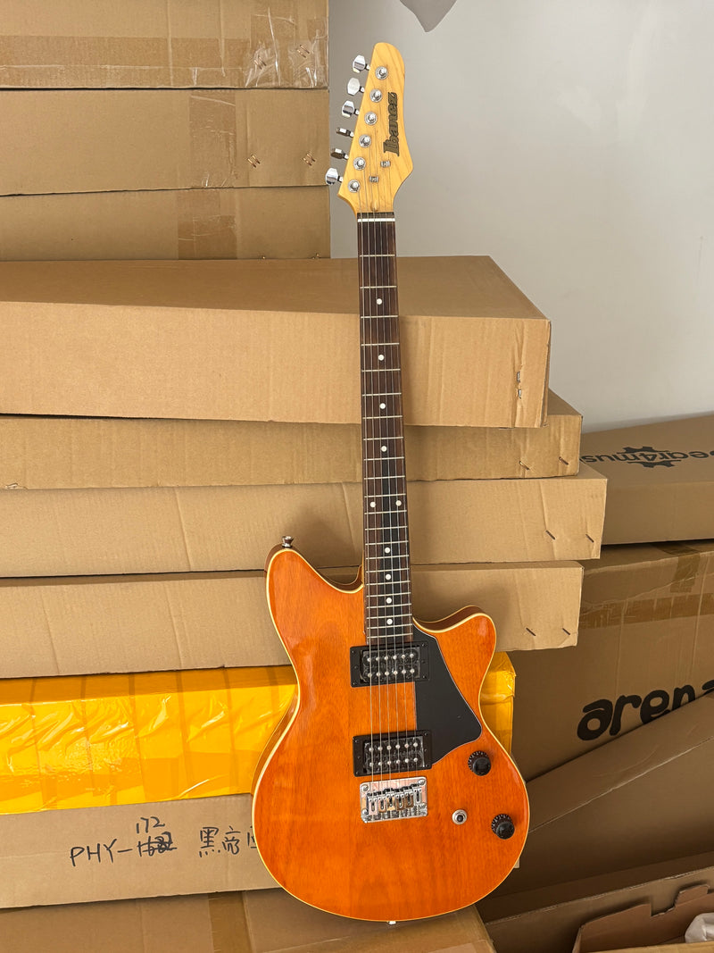 Ibanez Electric Guitar on Sale (IB-01)