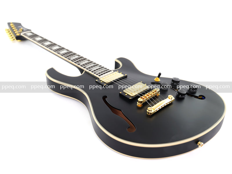 Semi-Hollow Body Electric Guitar with Matte Black Finish (HY-2563)