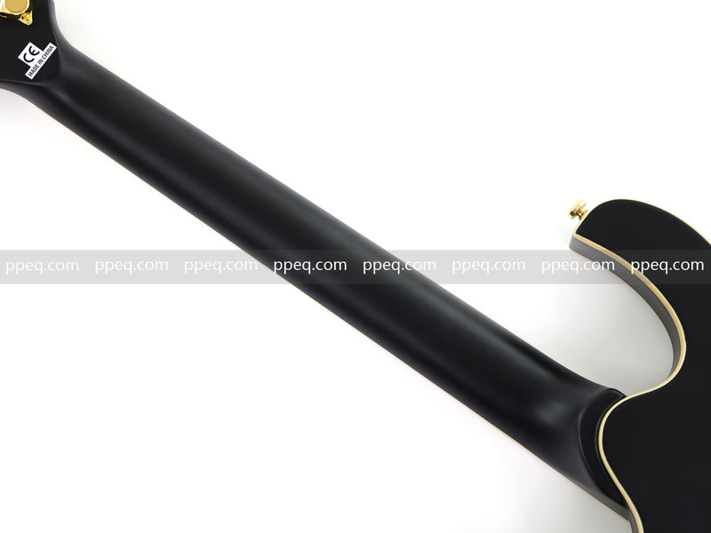 Semi-Hollow Body Electric Guitar with Matte Black Finish (HY-2563)