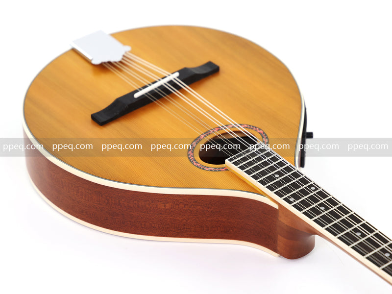 Solid Red Pine Top, 436mm Scale Length Bouzouki with Built-in EQ (PBZ-003)