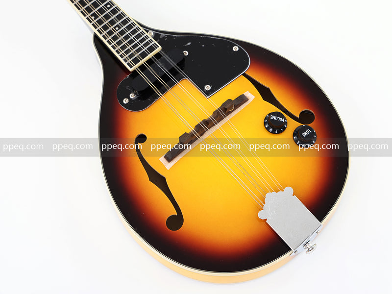 Sunburst Finish A-Style Electric Mandolin (M-9BSE)