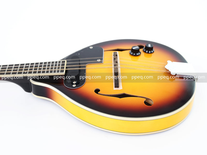 Sunburst Finish A-Style Electric Mandolin (M-9BSE)